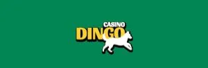 Casino Dingo