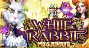 White Rabbit