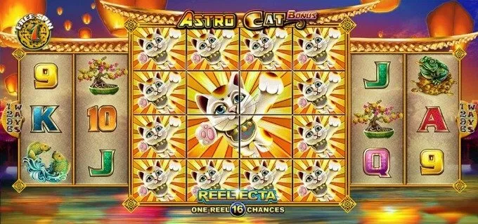 Astro Cat 4