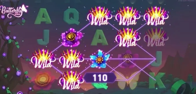 Review Butterfly Staxx 4