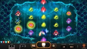 Magic Mushrooms