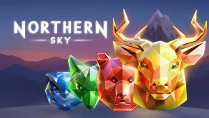 Northern Sky