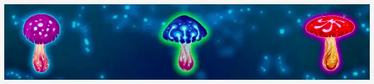 Review Magic Mushrooms 2