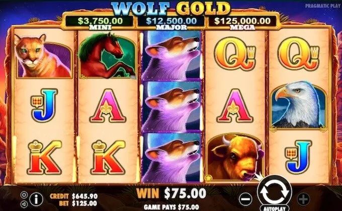 Review Wolf Gold 4