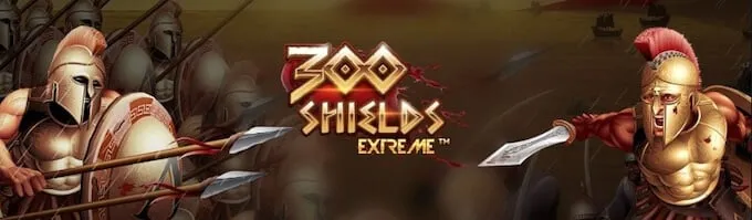 300 Schilde extrem 2