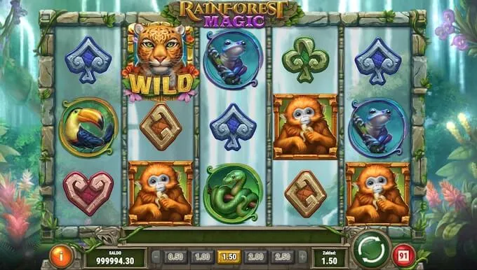 Rainforest Magic 4