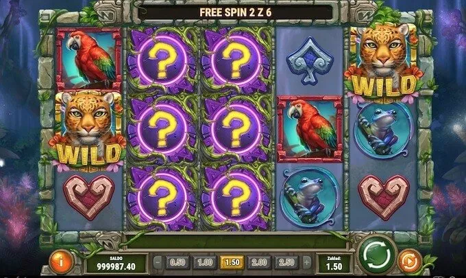 Rainforest Magic 6